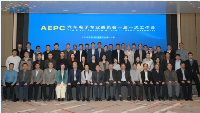 �������Ӳ�ҵӭ���ؼ���֯��AEPCרί������۽�оƬ����������̬Эͬ